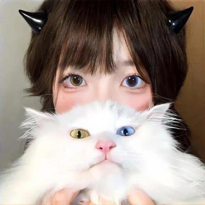 宫锁珠帘
